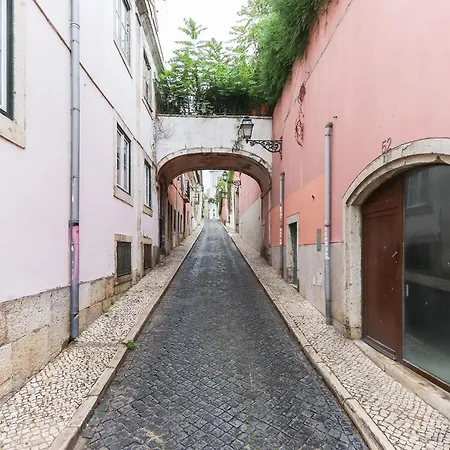 Luxury Olipi Lisboa